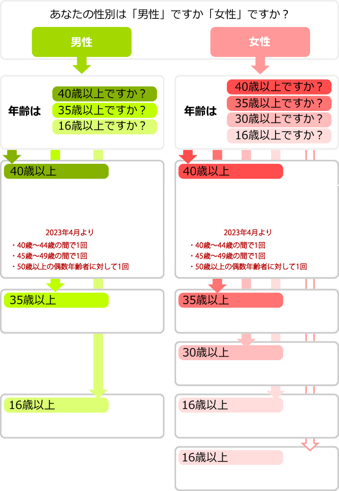 健診フローチャート